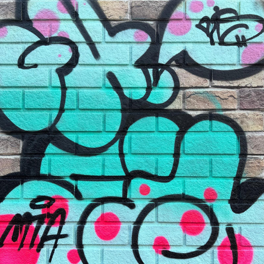 GHOST & GIZ THROW SERIES ON FAUX BRICK # 5