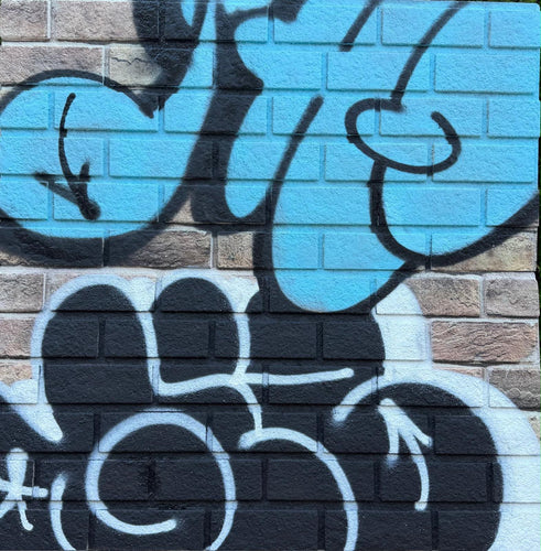 GHOST & GIZ THROW SERIES ON FAUX BRICK # 1