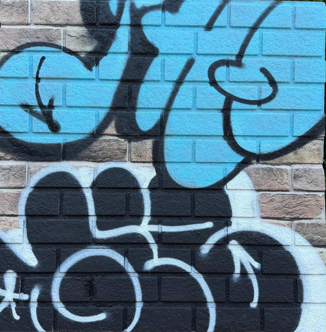 GHOST & GIZ THROW SERIES ON FAUX BRICK # 1