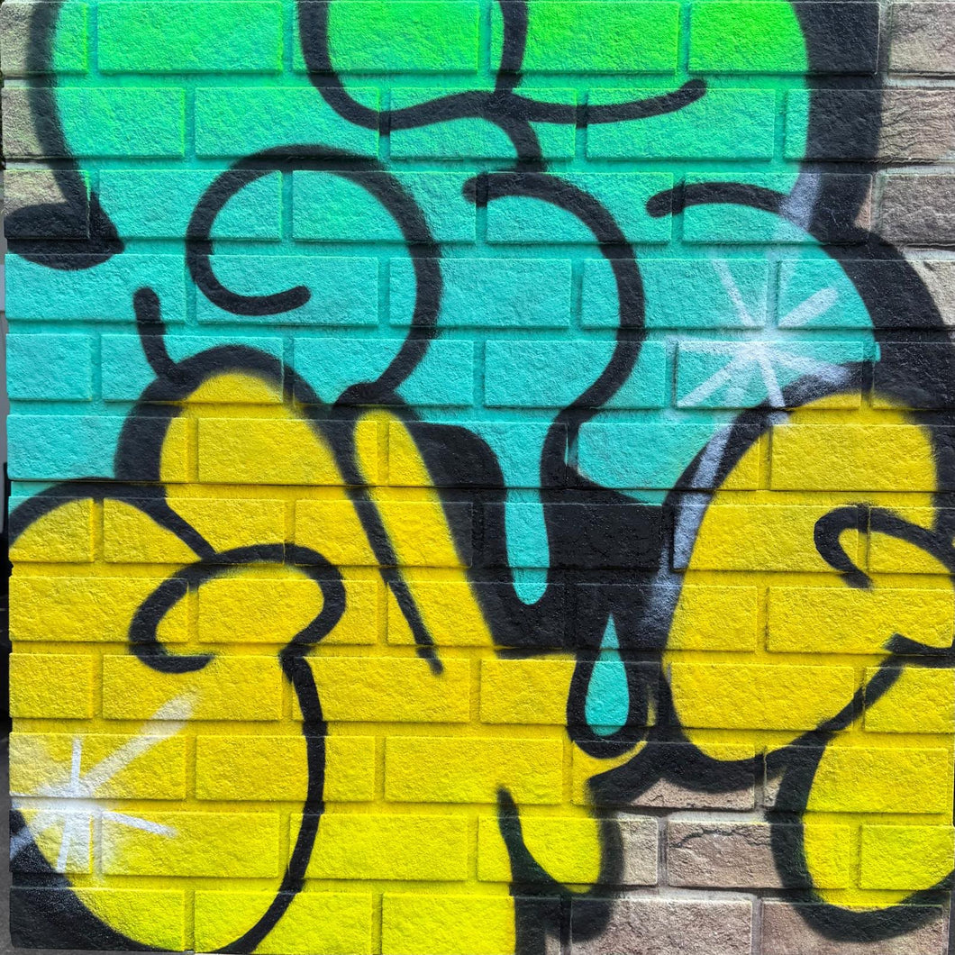 GHOST & GIZ THROW SERIES ON FAUX BRICK # 4