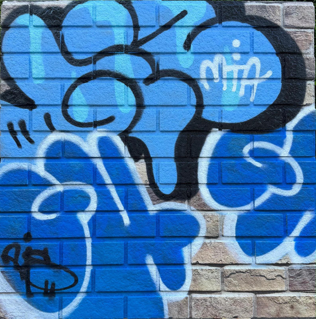 GHOST & GIZ THROW SERIES ON FAUX BRICK # 2
